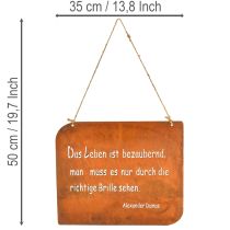 Artikel Gartenschild Metall Rostoptik mit Spruch 35x30cm für Außenbereiche