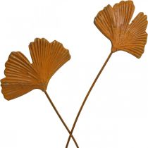 Artikel Gartenstecker Rost Gingkoblatt Beetstecker 7x5cm 6St