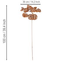 Artikel Gartenstecker Metall Kürbis Rostoptik 100cm