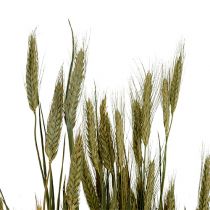 Artikel Getreidedeko Triticale als Bund Natur 1Bund