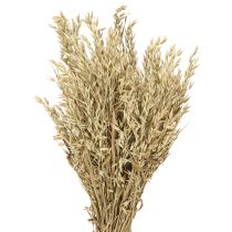 Artikel Getrockneter Hafer Deko Haferbund Naturdeko Bund 60cm 200g