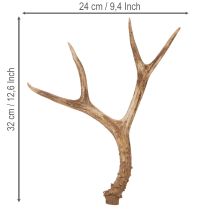 Artikel Künstliches Geweih Polyresin naturgetreu 32 cm Innenräume
