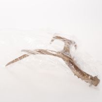 Artikel Künstliches Geweih Polyresin naturgetreu 32 cm Innenräume