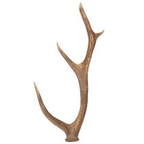 Artikel Deko-Geweih aus Polyresin braun 50cm rustikal für Innen