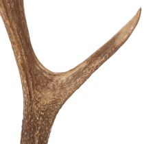 Artikel Deko-Geweih aus Polyresin braun 50cm rustikal für Innen