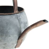 Deko Gießkanne zum Bepflanzen, Pflanzkanne 29,5cm H22cm