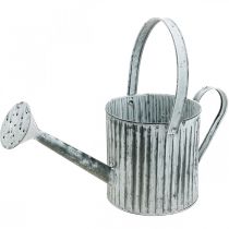 Metallkanne zum Bepflanzen, Gießkanne zum Dekorieren, Pflanzkanne Ø17cm