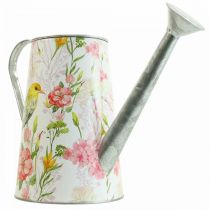 Deko Gießkanne Metall zum Bepflanzen, Pflanzkanne H22cm