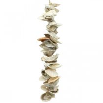 Muschelgirlande, Sommerdeko maritim, natürliche Muschelkette Naturfarben L35cm