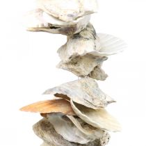 Muschelgirlande, Sommerdeko maritim, natürliche Muschelkette Naturfarben L35cm