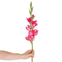 Artikel Künstliche Gladiole aus Kunstseide 88cm Pink für Innenbereich