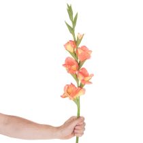 Artikel Künstliche Gladiole aus Seidenstoff 88cm Orange-Gelb