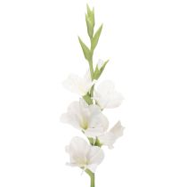 Artikel Künstliche Gladiole aus Textil und Kunststoff Weiß 88cm für Innenbereich