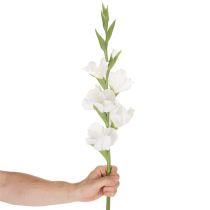 Artikel Künstliche Gladiole aus Textil und Kunststoff Weiß 88cm für Innenbereich