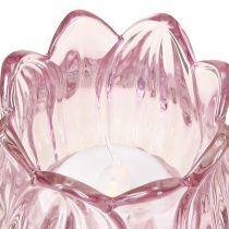 Artikel Glas Teelichthalter Teelichtglas Tulpe Lila Ø7cm H7cm 2St