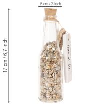 Artikel Glasflaschen-Set mit Muschelfüllung und Anhänger, 17 cm, 2 Stück