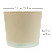 Artikel Glas Blumentopf Beige Übertopf Glaskübel Ø14,5cm H12,5cm