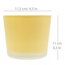 Artikel Glas Blumentopf Gelb Dekoglas Glaskübel Ø11,5cm H11cm