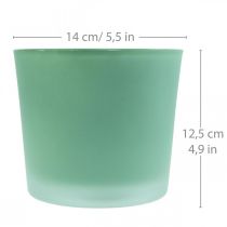 Artikel Glas Blumentopf Grün Übertopf Glaskübel Ø14,5cm H12,5cm