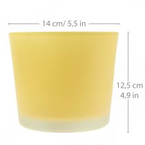 Artikel Glas Blumentopf Gelb Pflanztopf Glaskübel Ø14,5cm H12,5cm