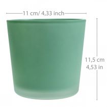 Artikel Glas Blumentopf Grün Übertopf Glaskübel Ø11,5cm H11cm