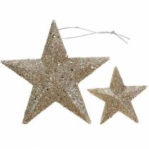 Artikel Glitterstern Champagner 9,5/5cm 18 St