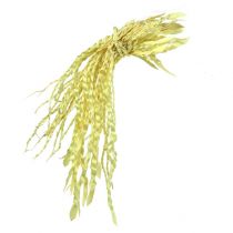 Artikel Gold Ranke gebleicht 50 St
