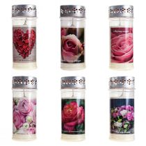 Artikel Grabkerzen mit Rosenmotiv Ø 7 cm H 18,5 cm, 6 Stück, Gemischt