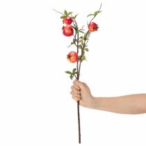 Artikel ProductNameKünstlicher Granatapfelzweig, 68 cm, rote Früchte für die Tischdekoration/ProductName
ProductDescription<h2>Künstlicher Granatapfelzweig für die Tischdekoration</h2>
<p>Der künstliche Granatapfelzweig ist eine dekorative Nachbildung mit roten G