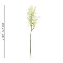 Artikel Zierspargel Zweig naturnahe Ergänzung für Blumensträuße 34cm 7St