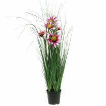 Artikel Gras mit Echinacea künstlich im Topf Pink 63cm