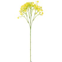 Artikel Gypsophila Rispiges Gipskraut Gelbe Blüten L46cm 4 St