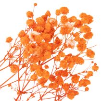 Artikel Schleierkraut Trockenblumenstrauß Gypsophila Orange 75 cm 100 g