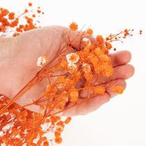 Artikel Schleierkraut Trockenblumenstrauß Gypsophila Orange 75 cm 100 g