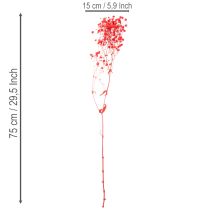 Artikel Trockenblumen Schleierkraut Rot 75cm 100g für Wohnraumdekoration