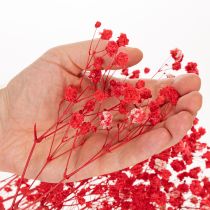 Artikel Trockenblumen Schleierkraut Rot 75cm 100g für Wohnraumdekoration