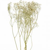Getrocknetes Schleierkraut, Trockenfloristik, Gypsophila Weiß L64cm 20g