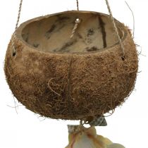 Kokosschale mit Muscheln, natürliche Pflanzschale, Kokosnuss als Blumenampel Ø13,5/11,5cm 2er-Set