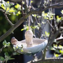 Artikel Deko Pilz mit Vogel Herbstdeko zum Hängen Ø15cm H12cm