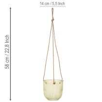 Artikel Hängetopf Glas 2er-Set Grün und Braun Retro-Muster Ø14 cm