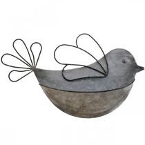 Hängetopf Metall Vogel Wand Blumentopf zum Hängen 34×22cm
