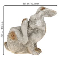 Artikel Beton-Blumentopf Hase Antik Grau 33,5x17x29,5cm für Innen- und Außendekoration
