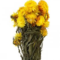 Artikel Strohblume Gelb getrocknet Trockenblumen Deko Bund 75g