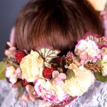 Walderdbeeren 3,5cm 24St