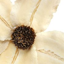 Artikel Holzblüte als Stecker gebleicht Ø9-12cm L45cm 15 St