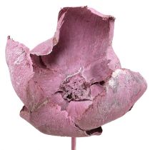 Artikel Holzblume, Palm Cup Mix Rosa-Erika 25 St