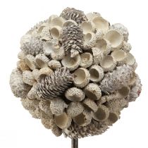 Artikel Holzdeko Baum Winterdeko Birkenholz Eicheln Zapfen Weiß 40cm
