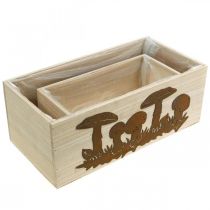 Artikel Pflanzkasten-Set, Holzkisten mit Pilzen, Herbstdeko Edelrost L40/30cm 2er-Set