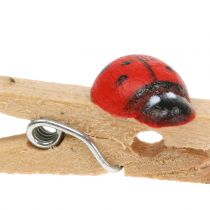 Artikel Deko-Holzklammern Marienkäfer 2,5cm 180 St