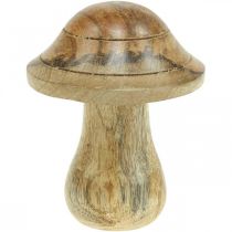 Artikel Holzpilz mit Rillen Herbst Deko Pilz Natur Mangoholz 10×Ø8cm